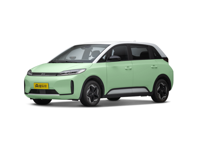 BYD D1